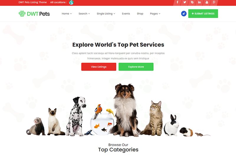 Directory Website Design Examples